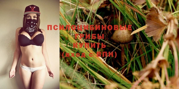 стафф Аркадак
