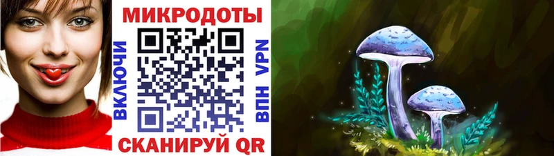 Галлюциногенные грибы Psilocybine cubensis  blacksprut зеркало  Изобильный 